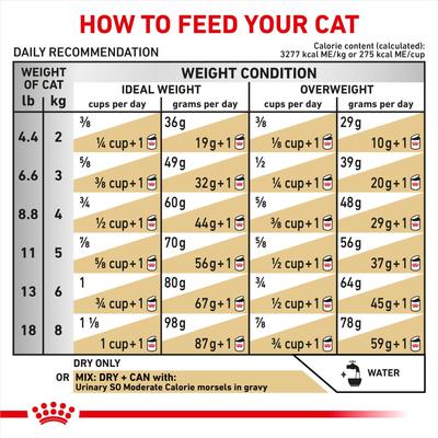 Adult Urinary SO Moderate Calorie Dry Cat Food, 6.6-lb bag