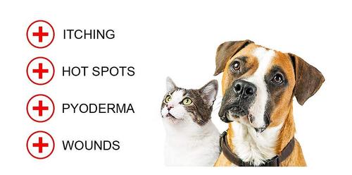 Gel antimicrobiano Blue Butter para perros y gatos, 8 oz