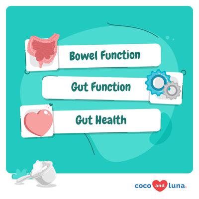 Coco and Luna Probiotics with Inulin Stomach & Digestion Powder Probiotic Supplement for Cats, 120-gr jar