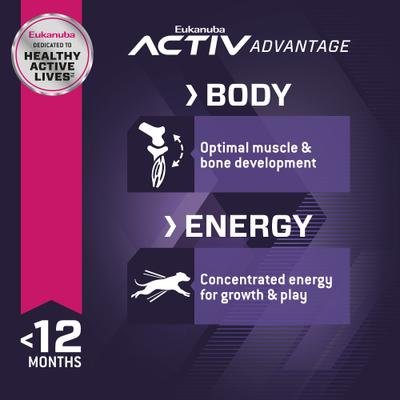 Puppy Large Breed Dry Dog Food, 30-lb bag