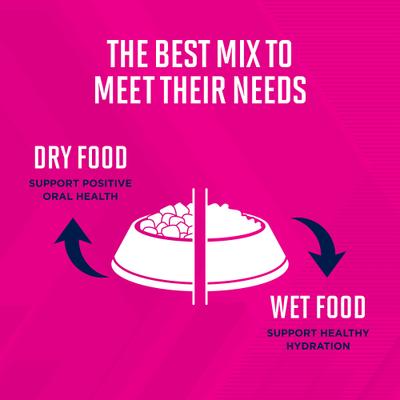 Puppy Large Breed Dry Dog Food, 30-lb bag