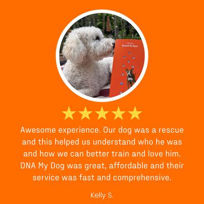 Premium Breed Identification Test