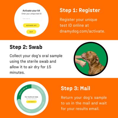 Premium Breed Identification Test