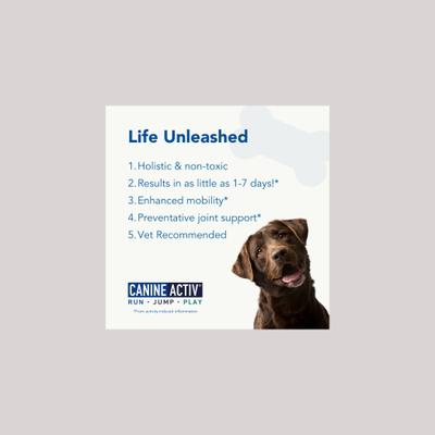 Mobility Large Dog Supplement, 90 count
