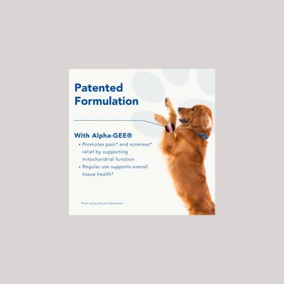 Mobility Large Dog Supplement, 90 count