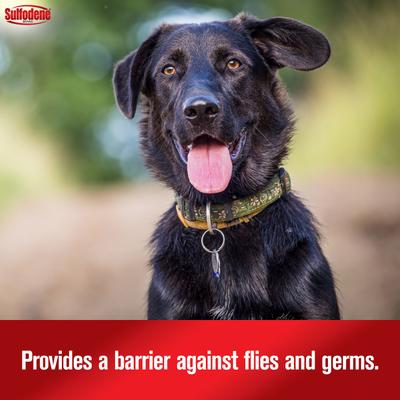 3-Way Ointment for Dogs, 2-oz