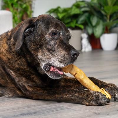 Beefhide 12-inch Chicken Flavored Dog Bones, 1 count