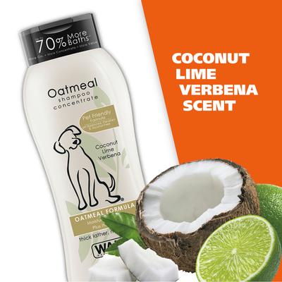 Oatmeal Formula Dog Shampoo, Coconut Lime Verbena Scent, 24-fl oz bottle