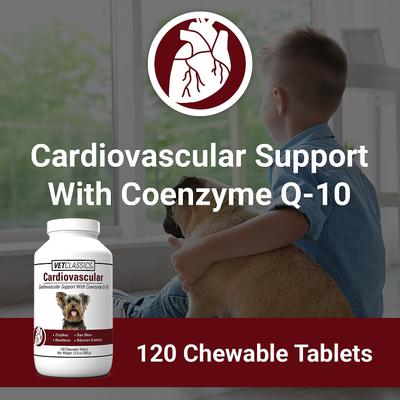 Cardiovascular Support with Coenzyme Q-10 Chewable Tablets Dog Supplement, 120 count