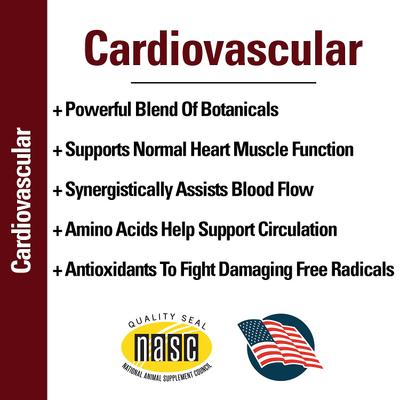 Cardiovascular Support with Coenzyme Q-10 Chewable Tablets Dog Supplement, 120 count