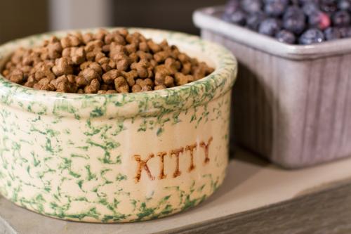 Holistic Grain-Free All Life Stages Dry Cat Food, 24-lb bag