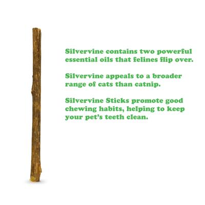 King Sized Silvervine Cat Sticks, 6 count