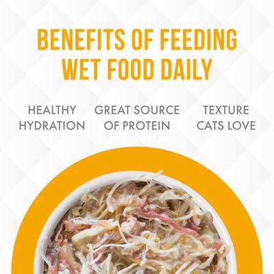 Truluxe On The Cat Wok with Chicken & Beef in Pumpkin Soup Grain-Free Canned Cat Food, 6-oz, case of 24