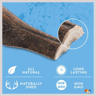Large Split Elk Antler Extra Thick Dog Chew Treats, 8-in