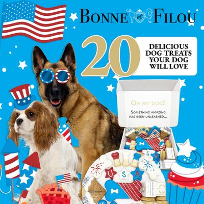 Human-Grade Red, White, & Blue Dog Treats Gift Box, 21 count
