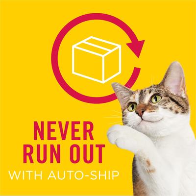 Poultry Pate Favorites Variety Pack Wet Cat Food, 5.5-oz can, case of 32