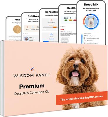 Premium Breed Identification & Health Condition Identification DNA Test for Dogs