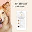Premium Breed Identification & Health Condition Identification DNA Test for Dogs