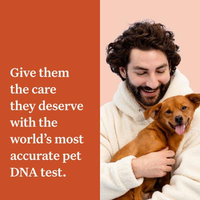Prueba de ADN premium para identificación de razas y afecciones de salud caninas
