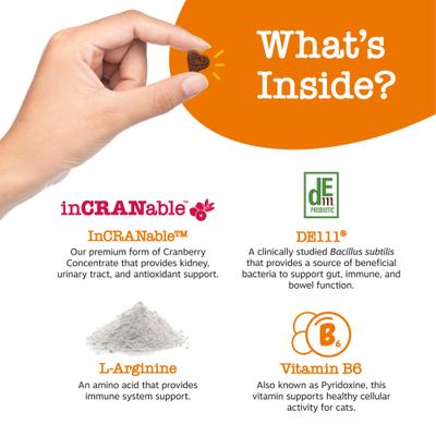 Cranberry Bladder Bites Bacon Flavored Soft Chews Urinary Supplement for Cats, 60 count