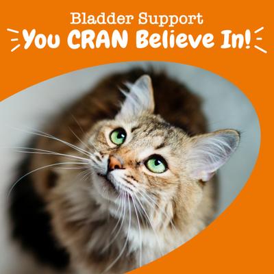 Cranberry Bladder Bites Bacon Flavored Soft Chews Urinary Supplement for Cats, 60 count