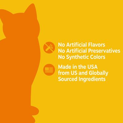 Urinary Trac Bites Antioxidant, Suplemento para Vías Urinarias, con Arándano, sabor Tocino, Gato. 60 chews