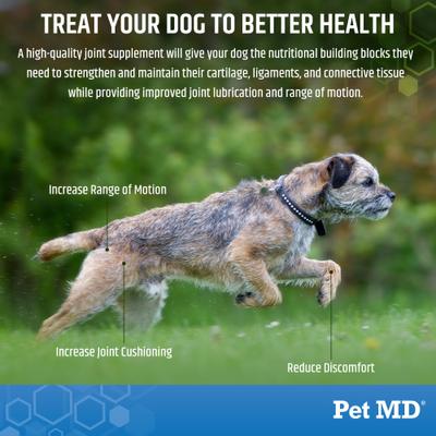 Glucosamine, Chondroitin, MSM, Turmeric, & Yucca - Delicious Bacon Flavored Hip & Joint Dog Supplement, 120 count