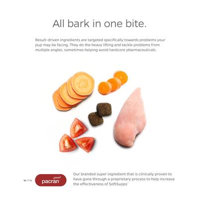 Bladder SoftSupps - Suplemento para la vejiga de arándanos para perros, 90 unidades