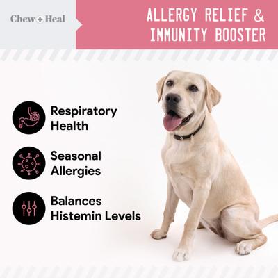 4-IN-1 Support Chews Dog Supplement & Chew + Heal Allergy Aid Chews Dog Supplement, 210 count