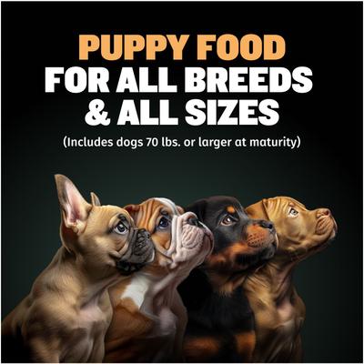 26/12 High-Protein Chicken Wet Puppy Food, 2-lb bag