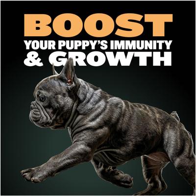 26/12 High-Protein Chicken Wet Puppy Food, 2-lb bag