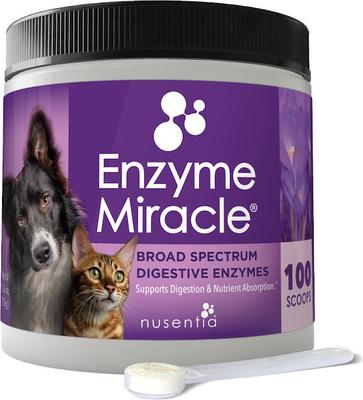 Enzyme Miracle Digestive & Metabolic Dog & Cat Supplement, 75g jar