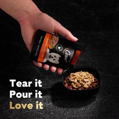 Rotisserie Chicken Flavor Filets in Gravy Wet Dog Food, 1.76-oz mini-pouch, case of 20