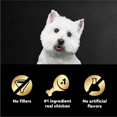 Rotisserie Chicken Flavor Filets in Gravy Wet Dog Food, 1.76-oz mini-pouch, case of 20