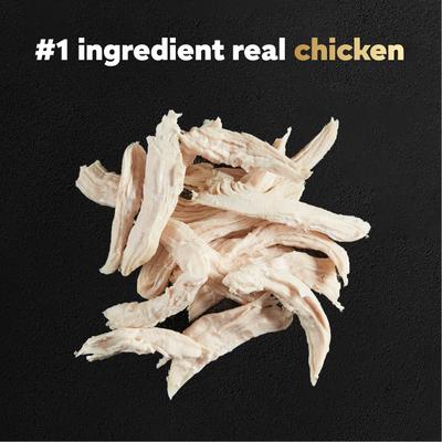 Rotisserie Chicken Flavor Filets in Gravy Wet Dog Food, 1.76-oz mini-pouch, case of 20