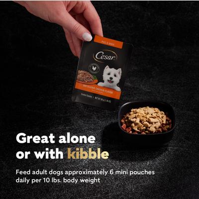 Rotisserie Chicken Flavor Filets in Gravy Wet Dog Food, 1.76-oz mini-pouch, case of 20