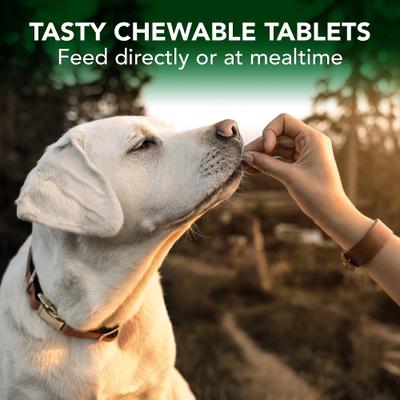 Chewable Tablets Allergy Supplement for Dogs, 60 count