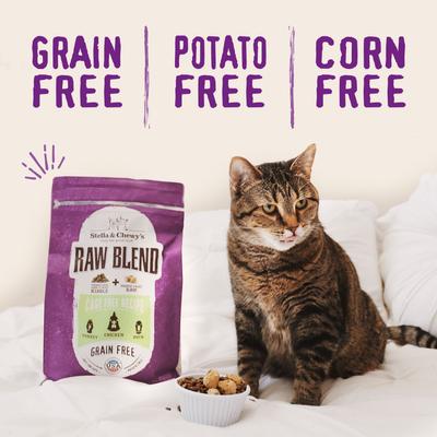 Poultry Flavored Raw Blend Cage Free Recipe Dry Cat Food, 10-lb bag