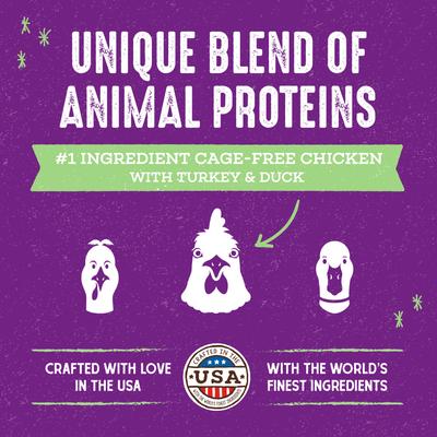 Poultry Flavored Raw Blend Cage Free Recipe Dry Cat Food, 10-lb bag