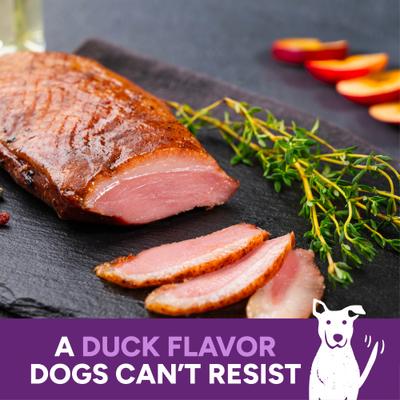 Wag More Bark Less Duck & Apple Recipe Grain-Free Jerky Dog Treats, 10-oz bag