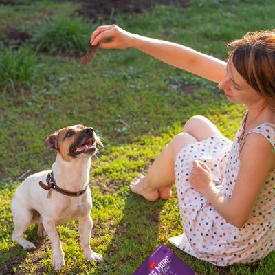 Wag More Bark Less Duck & Apple Recipe Grain-Free Jerky Dog Treats, 10-oz bag