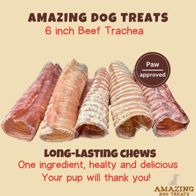 Beef Trachea Dog Treats, 2 count