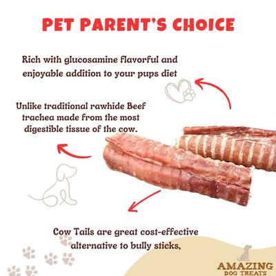 Beef Trachea Dog Treats, 2 count