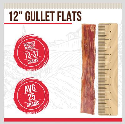 Gullet Flats Beef Flavored 12-in Dog Chews, 12 count