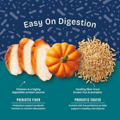 Alimento seco para perros con pollo real, arroz integral y calabaza Health Protection Puppy, bolsa de 12 lb