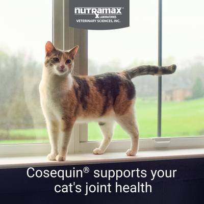 Cosequin with Glucosamine, Chondroitin & Omega-3s Soft Chew Joint Supplement for Cats, 120 count