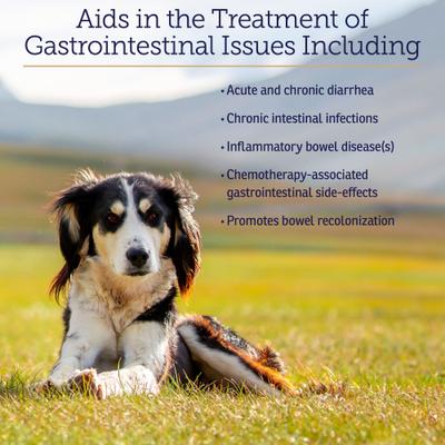 Nutrigest Powder Digestive Supplement for Cats & Dogs, 132-g jar