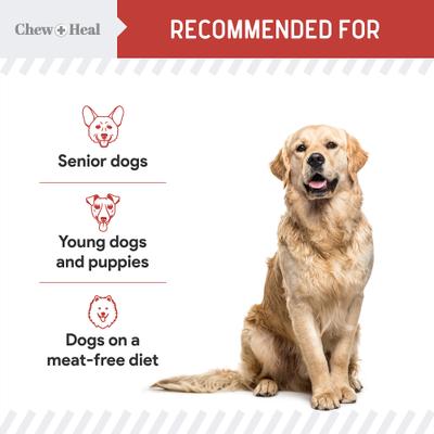 Focus Wild Alaskan Salmon Limited Ingredient Soft Jerky Dog Treats, 5-oz bag