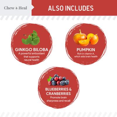 Golosinas suaves para perros Focus Wild Alaskan Salmon con ingredientes limitados, bolsa de 5 oz