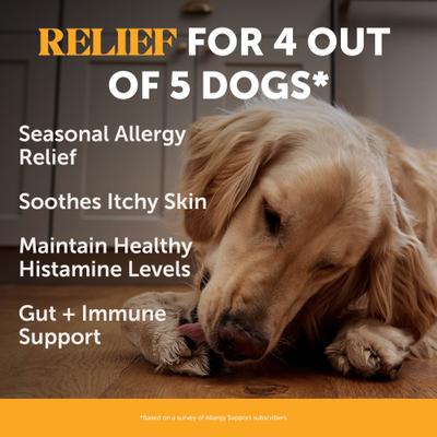 Allergy Support Salmon Flavored Colostrum & Turmeric Chews, Itchy Skin, Immune & Allergy Relief Supplement for Dogs, 90 count